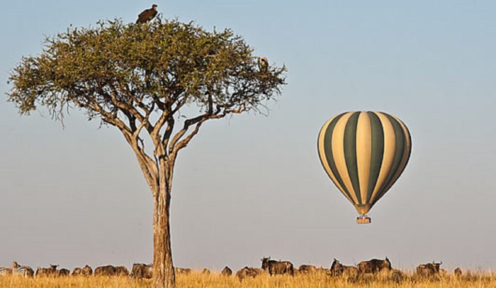 5 DAYS MAASAI MARA SAFARI ADVENTURE