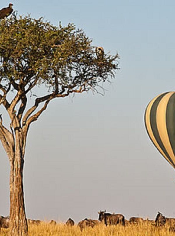 5 DAYS MAASAI MARA SAFARI ADVENTURE