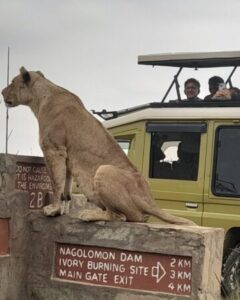 Explore the wild heart of East Africa with Nairobi City Safaris