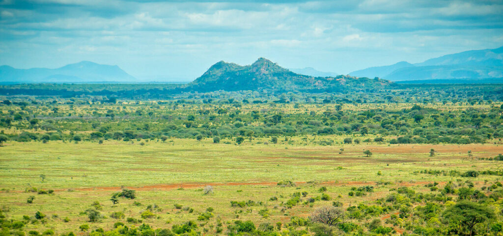 Enjoy a 3-day Meru National Park safari from Nairobi with game drives, wildlife viewing, scenic landscapes and comfortable accommodation in Kenya’s beautiful wilderness