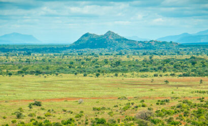 Enjoy a 3-day Meru National Park safari from Nairobi with game drives, wildlife viewing, scenic landscapes and comfortable accommodation in Kenya’s beautiful wilderness