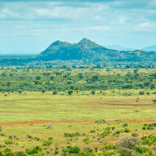 Enjoy a 3-day Meru National Park safari from Nairobi with game drives, wildlife viewing, scenic landscapes and comfortable accommodation in Kenya’s beautiful wilderness