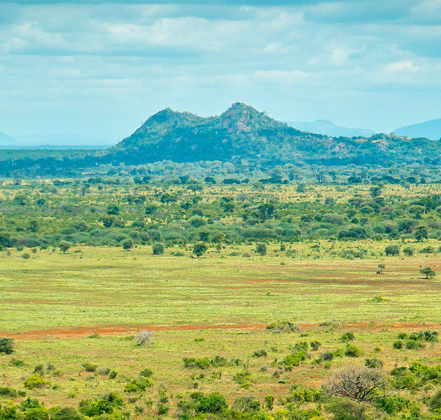 Enjoy a 3-day Meru National Park safari from Nairobi with game drives, wildlife viewing, scenic landscapes and comfortable accommodation in Kenya’s beautiful wilderness