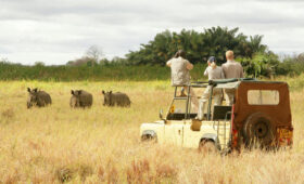 Meru National Park safari