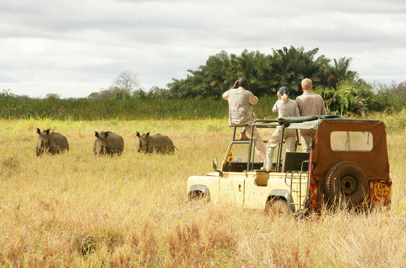 Meru National Park safari